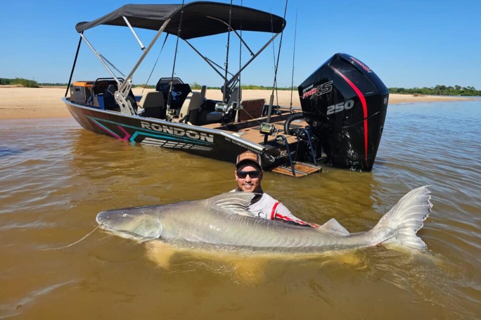 Piribia Conheça a piraíba, peixe do Araguaia que é um dos maiores de água doce ...